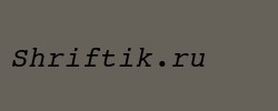 Courier 10 Pitch Italic BT 